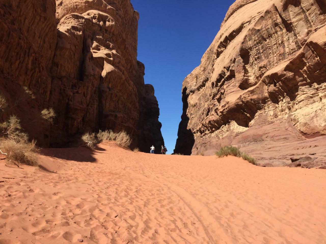 Friend wadi Rum Exterior foto